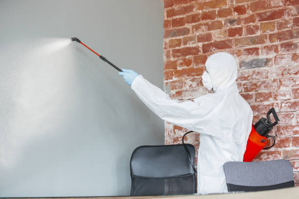 Best HVAC Mold Inspection and Cleaning  in Fort Atkinson, WI