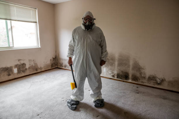 Best Airborne Mold Testing  in Fort Atkinson, WI